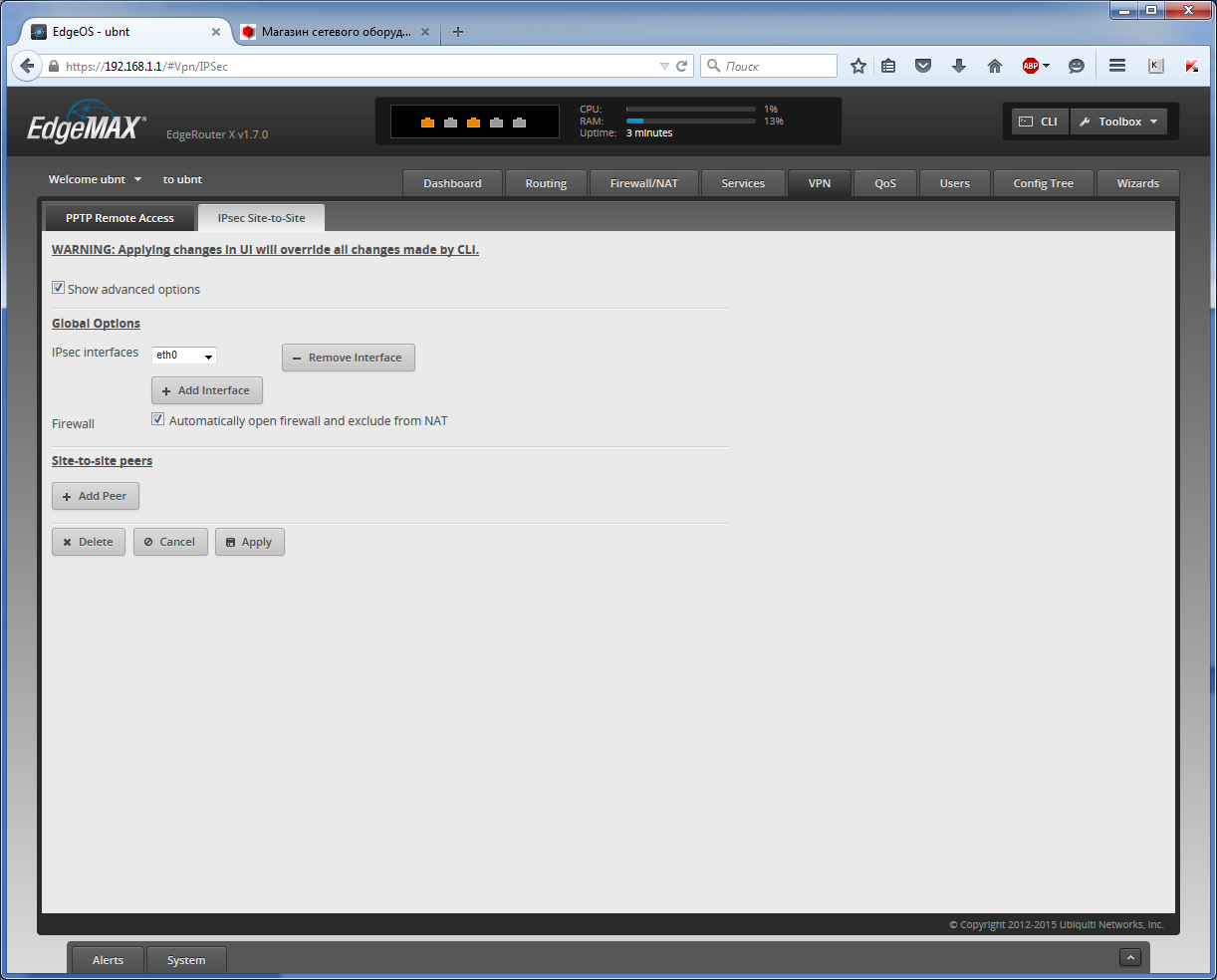 EdgeRouter X (ER-X) вкладке VPN