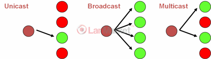 2_unicast_broadcast.jpg 2_unicast_broadcast.jpg