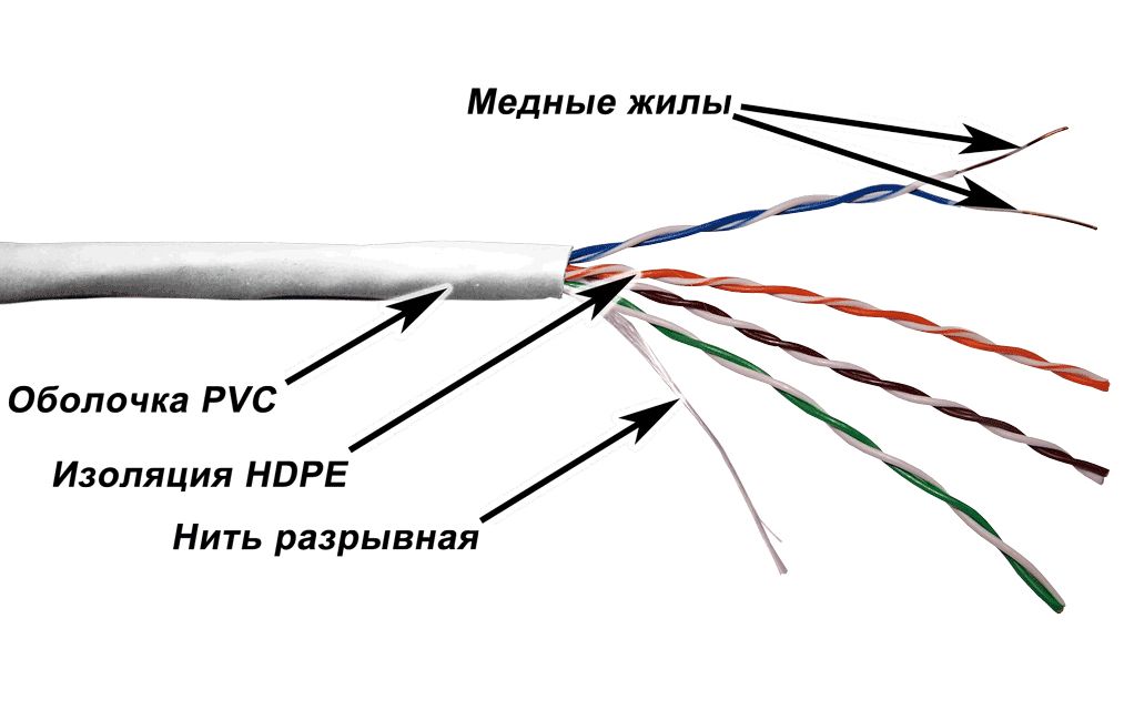 vitaya-para-01.jpg
