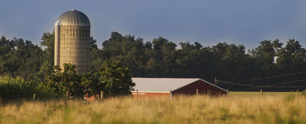 Знакомство с Mimosa: достойная альтернатива Mikrotik и Ubiquiti Знакомство с Mimosa: достойная альтернатива Mikrotik и Ubiquiti