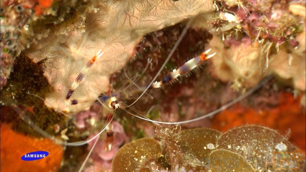 video-test-review-z03-min.jpg video-test-review-z03-min.jpg