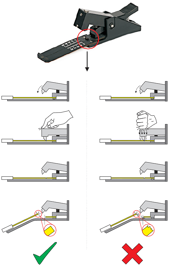 bib329_3.gif bib329_3.gif
