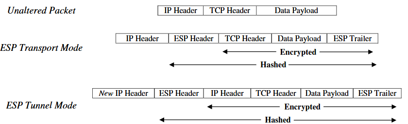 ip2.png