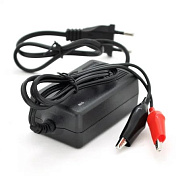 Импульсное ЗУ Merlion для аккумуляторов 6V ,KF-0602000-GS,ток заряда 2А