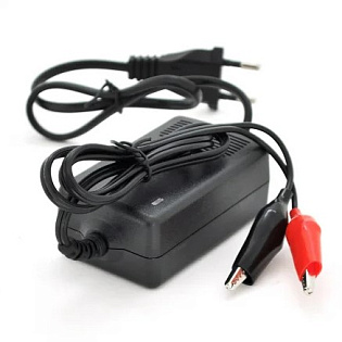 Импульсное ЗУ Merlion для аккумуляторов 6V ,KF-0602000-GS,ток заряда 2А