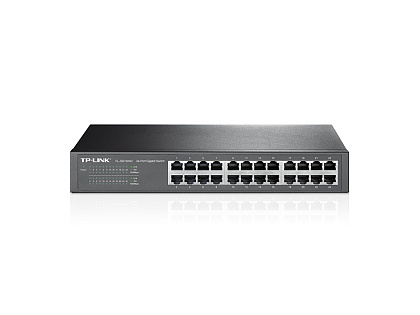 TL-SG1024D