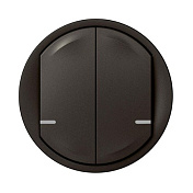 осіб. панель для розумного 2-клавішного вимикача Celiane with NETATMO, графіт 