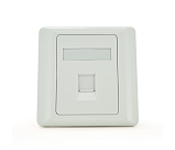 Рамка 86х86 під 1 модуль Keystone Jack RJ-45 кат.5E UTP, 1-port Q100 