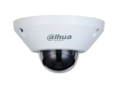 DH-IPC-EB5541-AS